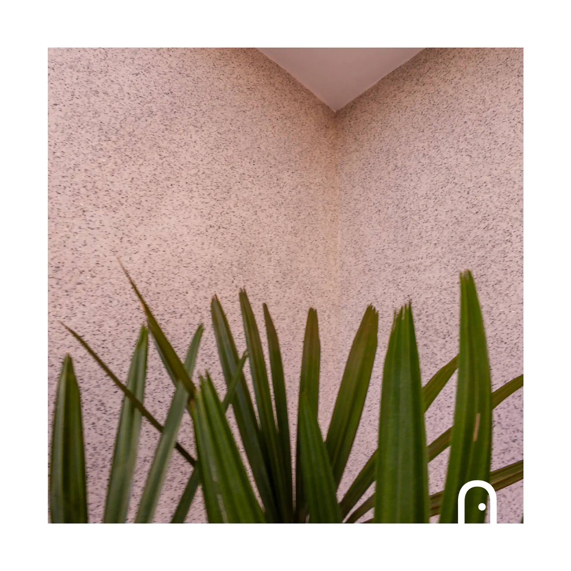 Carrossel Fotos MONOCASA (2)